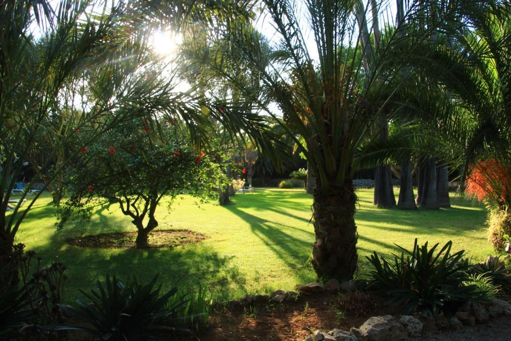 Finca Hotel Predio Son Serra กันปิกาฟอร์ต ภายนอก รูปภาพ